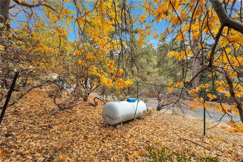 A home in Idyllwild