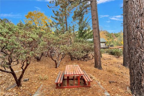 A home in Idyllwild