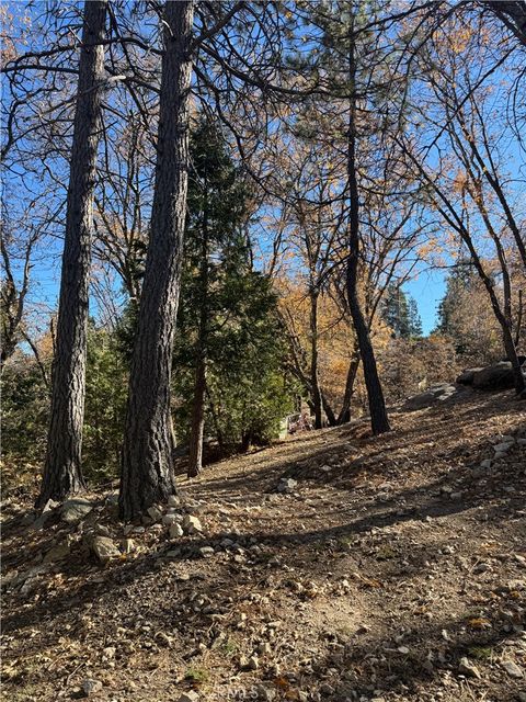 A home in Lake Arrowhead