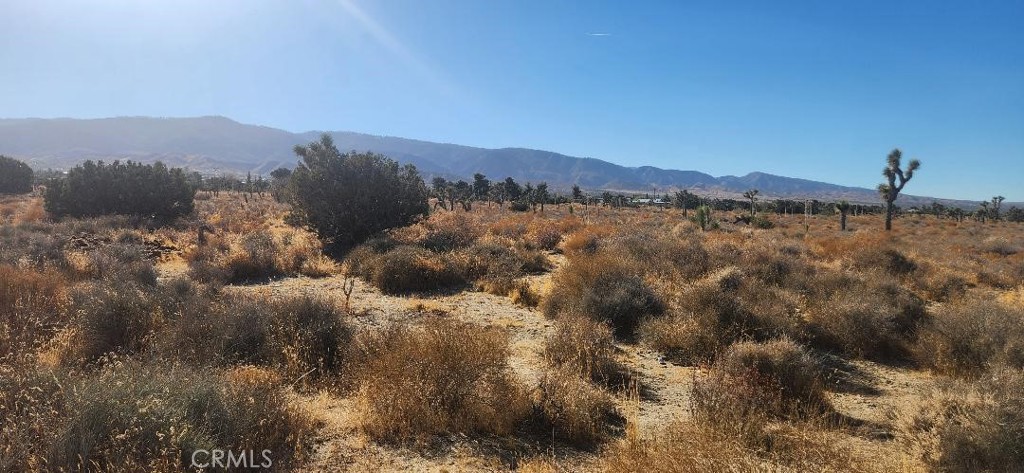These TWO 20 Acre parcels are the perfect investment for future growth. Perfect Development Opportunity for both Residential Multi-Family and Agriculture. This land offers a great private location. It also has a beautiful Mountain View and Sunset View. Water and power are near. Access is easy. This property is close to town and convenient access to Highway 138. Don't miss this opportunity!