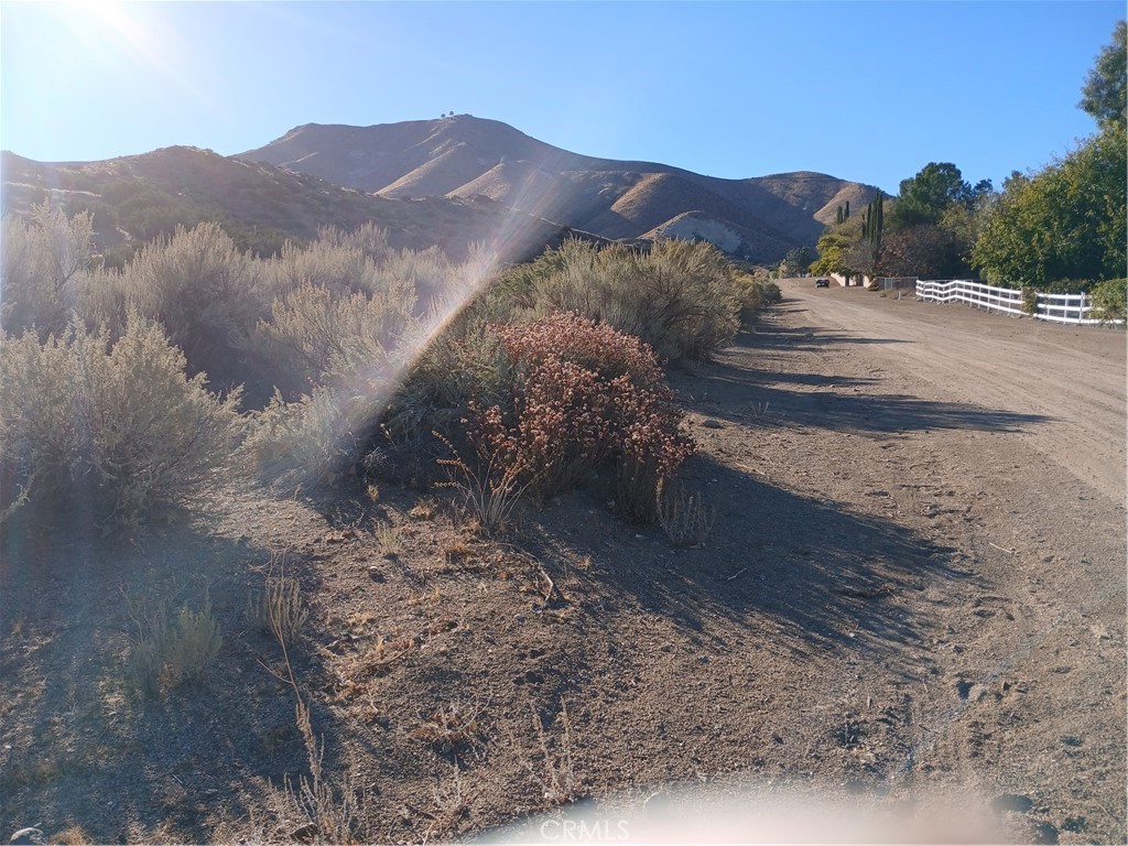 8.46-acre partial with a view of Acton. This parcel has plenty of room a house, gardens, storage sheds and farm animals. It is located in the LA County Water District. There is room on Clair Ridge to drive up to the parking area and turn around and walk up the hill to see the upper portion of the parcel. The property is located away from the center of Acton and still a few minutes away from the business district. Acton has grocery stores, pharmacies, ACE Hardware, the county park, library and many smaller stores. Acton is an active community for all age groups.