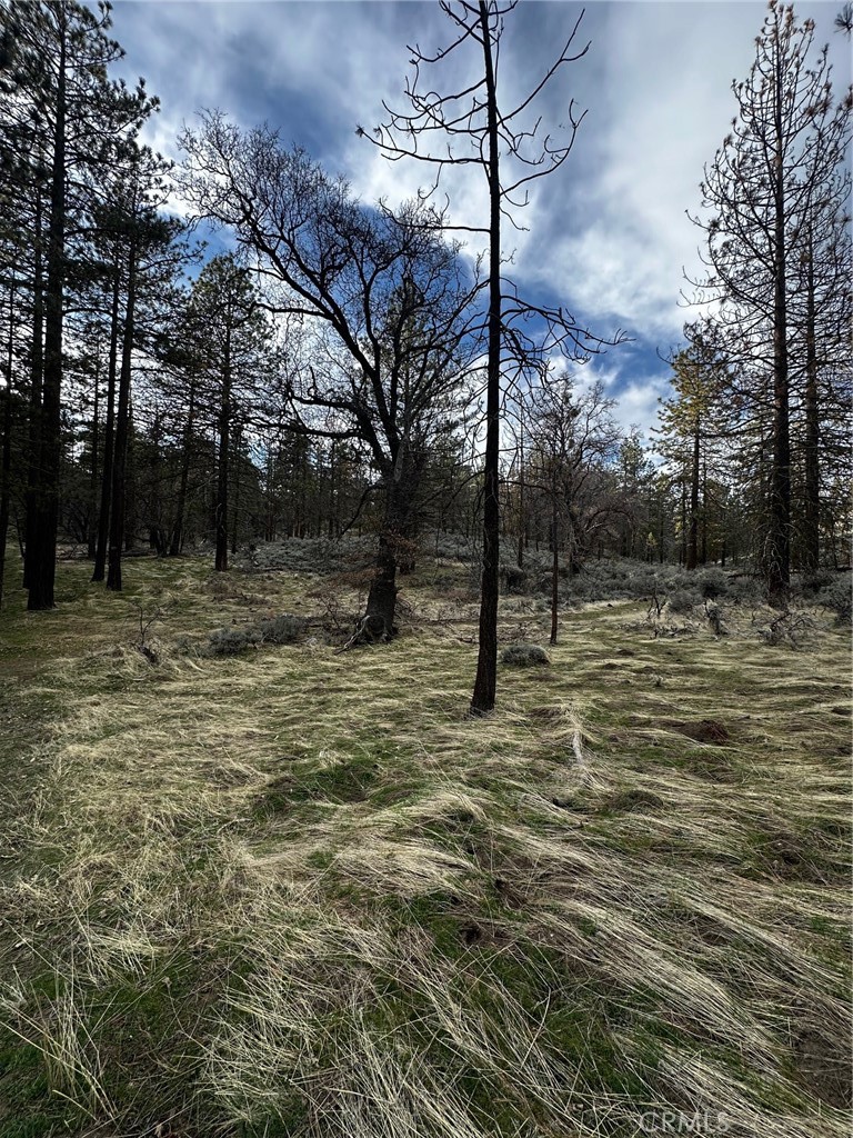 Experience the true essence of mountain living with this stunning lot in Bear Valley Springs. This magnificent parcel spans 1.42 acres of Pine Tree beauty, where wildlife roams. Situated up high, you will enjoy all four seasons and breathtaking views. You can build or wait and take advantage of the abundant amenities Bear Valley Springs has to offer. These include golf, tennis, pickleball, an equestrian center, two restaurants, a saloon, campgrounds (RV sites), a community pool, parks, lakes, riding and hiking trails, and more! Whether you come for a vacation or decide to stay for a lifetime, this parcel is waiting you!