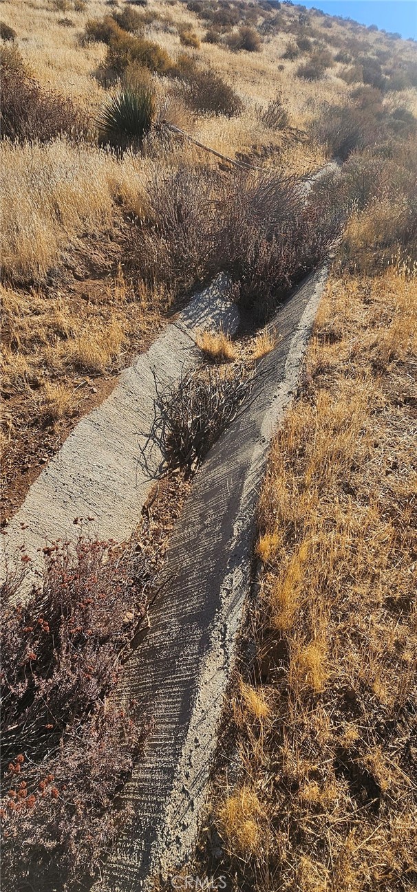 Custom Acton (CACTO) - Land