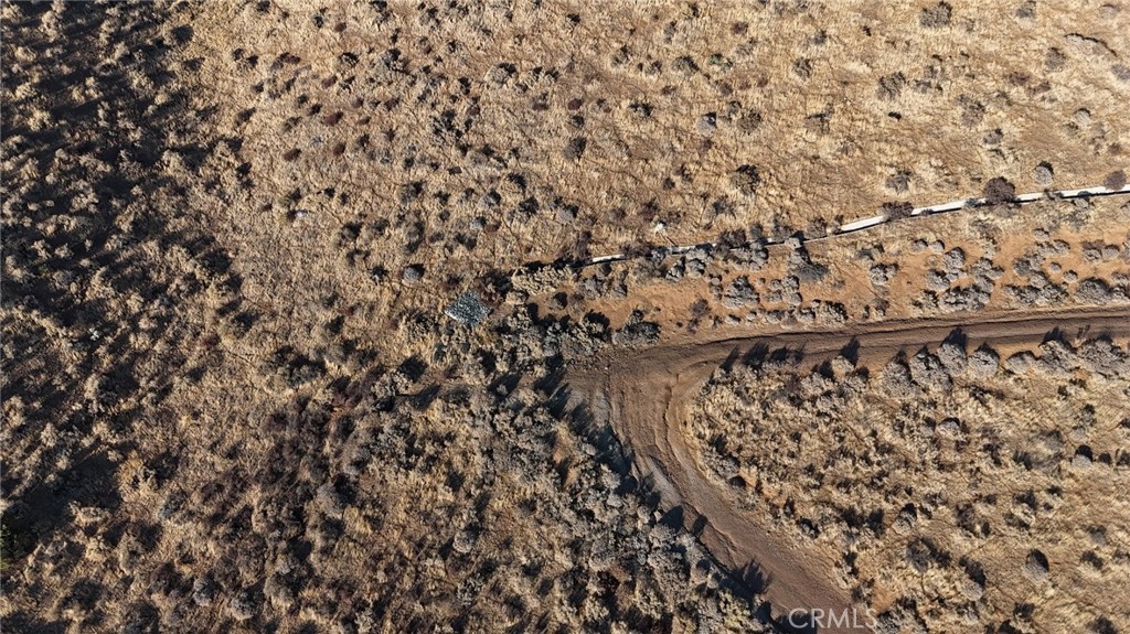 Custom Acton (CACTO) - Land