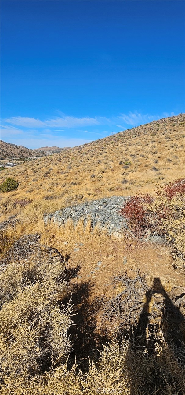 Custom Acton (CACTO) - Land