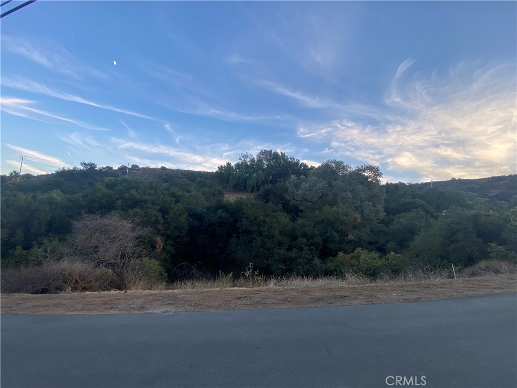 0 S Skyline Dr Drive