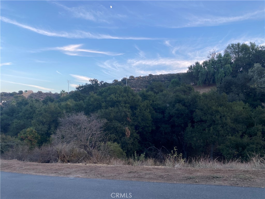 0 S Skyline Dr Drive