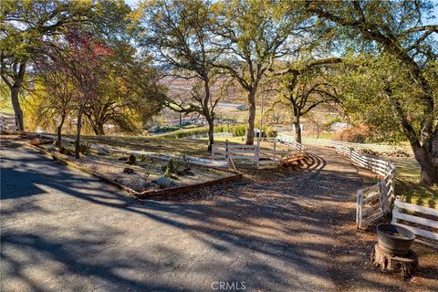 listing image 64