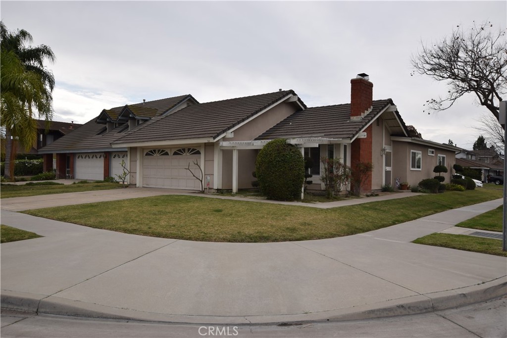 - - Residential Lease