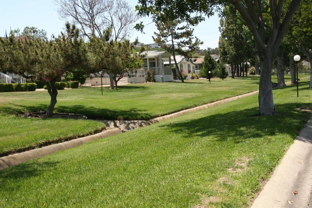 525 W El Norte Parkway 40