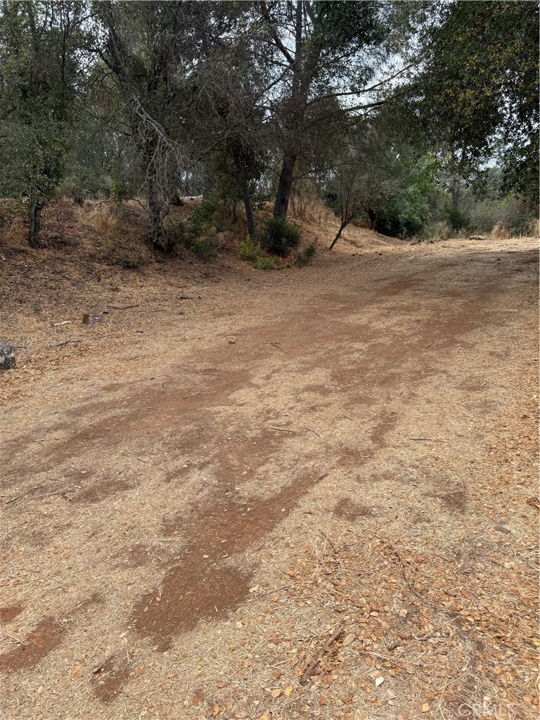 Perfect lot to build your permanent or vacation home. It also could be a great investment for rental income property as lot next door is also for sale. The possibilities are endless for this lot or purchase lot next door to make your private oasis or perfect investment. Located close to shopping, restaurants and beautiful Clear Lake.