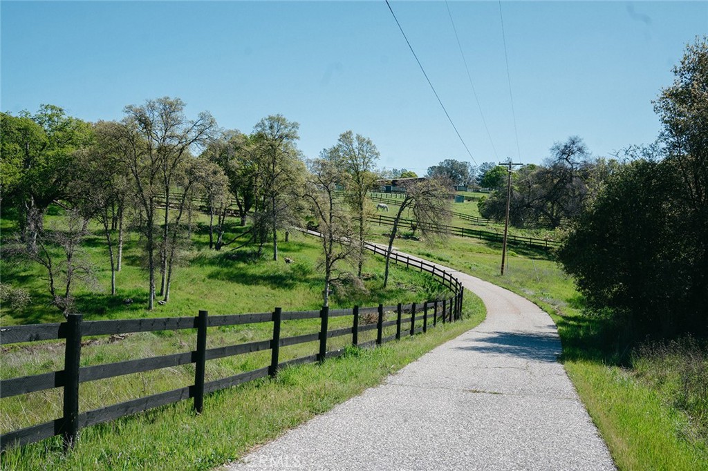 14134 Serpentine Farm Lane