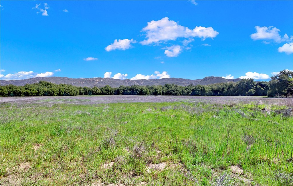 0 Ortega Highway