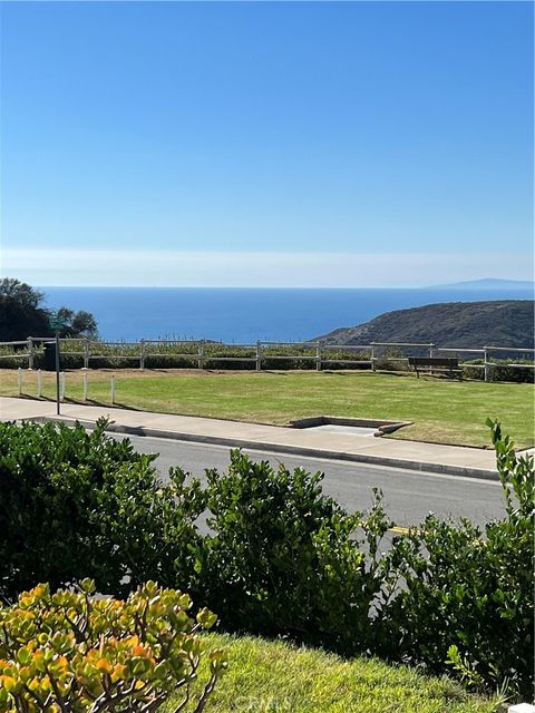 A home in Laguna Niguel