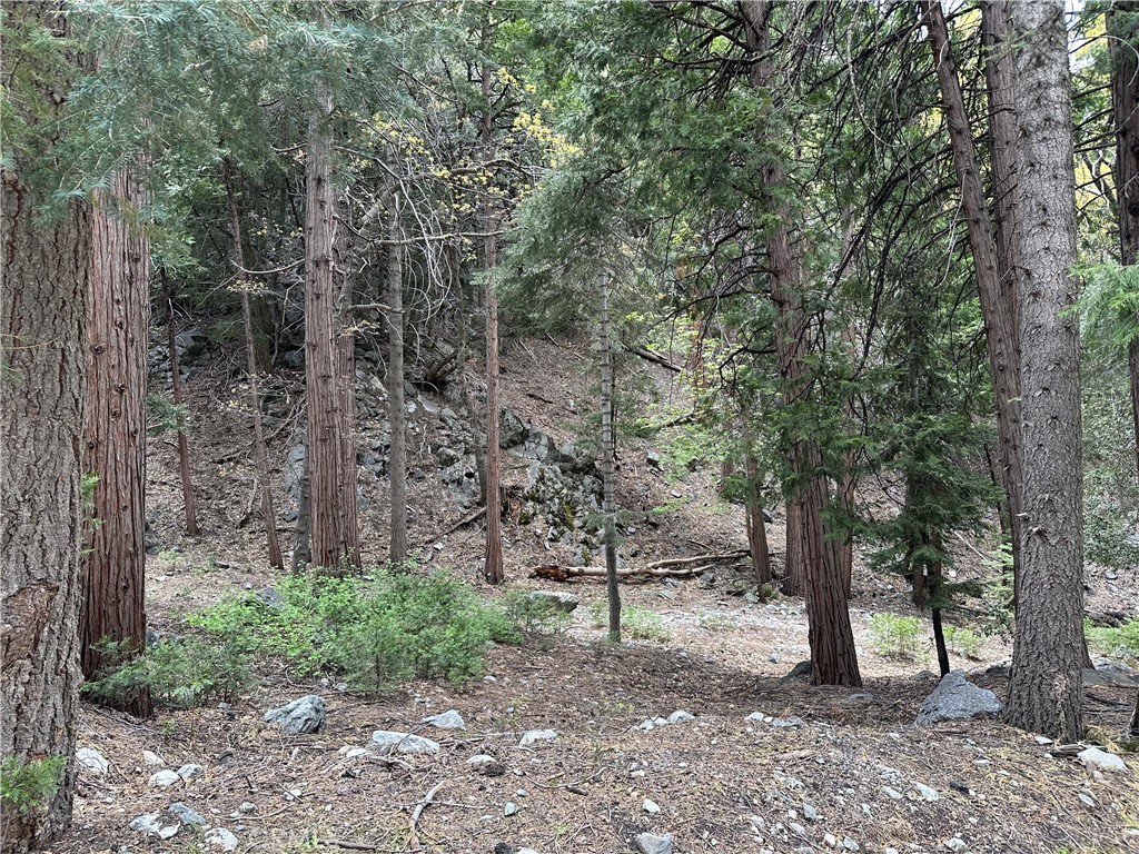 Similar Properties