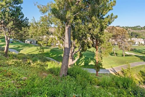 A home in San Juan Capistrano