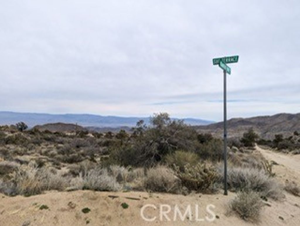 listing image 130723019785693186631