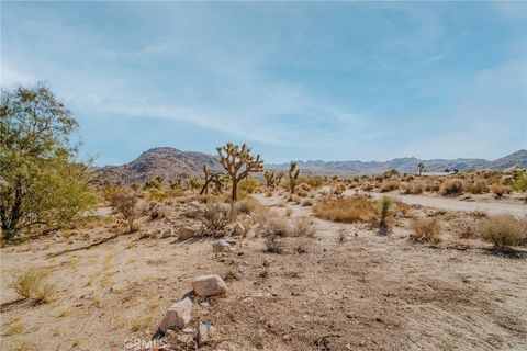 A home in Joshua Tree