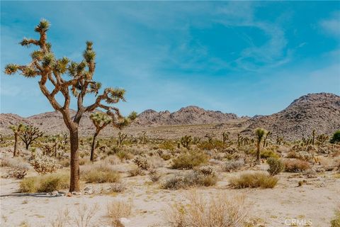 A home in Joshua Tree