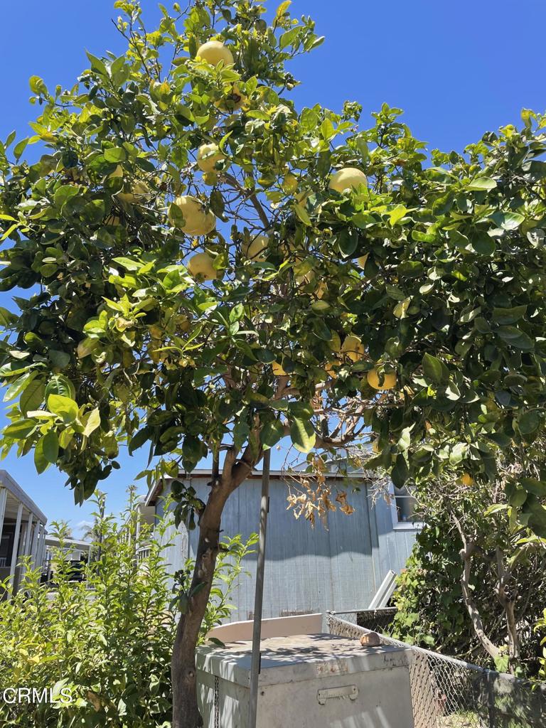 Kona Kai MHP - 037005 - Manufactured In Park