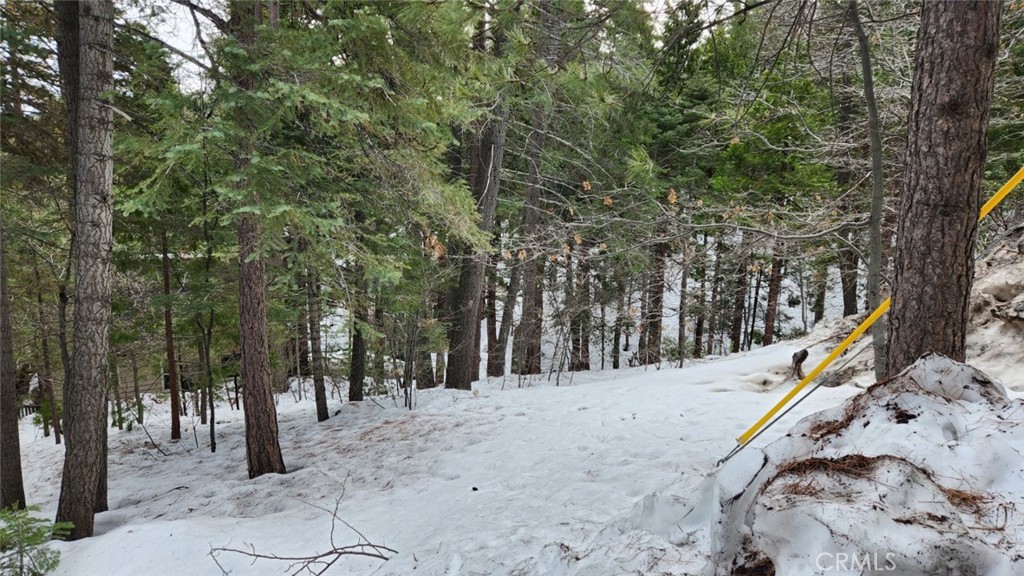 Discover the potential of this spacious and versatile vacant lot nestled in a tranquil neighborhood in Lake Arrowhead. At 9,420 sq ft you have ample space to build your dream home. This blank canvas allows you to create a unique and personalized living space that reflects your style and vision. Boasting a desirable location, this lot is conveniently situated within a short distance to local amenities, shops and restaurants, and golf course. This lot offers the perfect blend of comfort and convenience. Don't miss this incredible opportunity to invest in your future and bring your dreams to life! No address has been assigned yet.