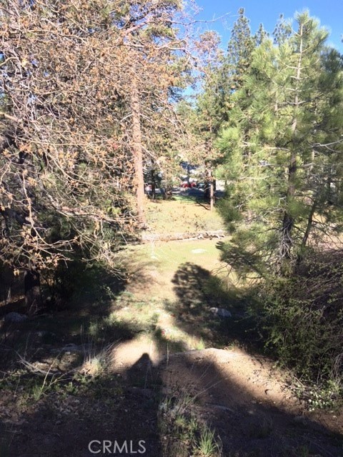 Two lots for the price of one. Commercially zoned lots with all utilities including sewer, water, natural gas, electric & cable. Nicely treed 15,525 sq. ft. lot w/ view of "Magic Mountain."