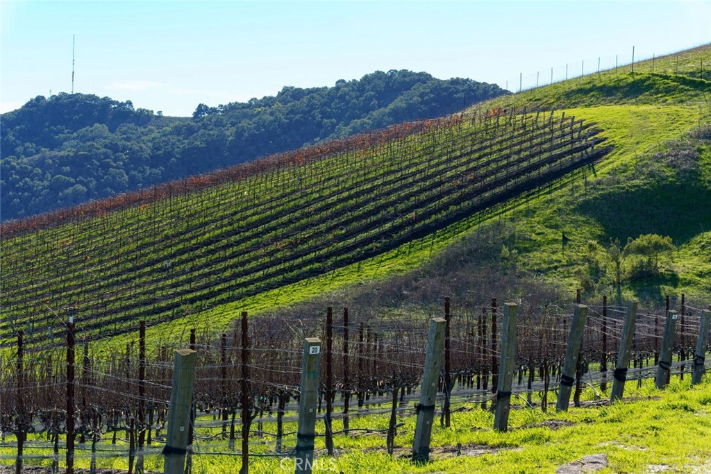 San Luis Obispo(380) - Residential