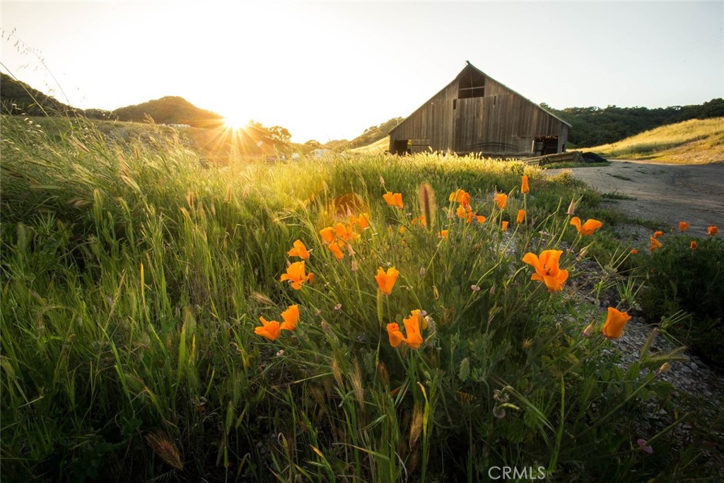 San Luis Obispo(380) - Residential