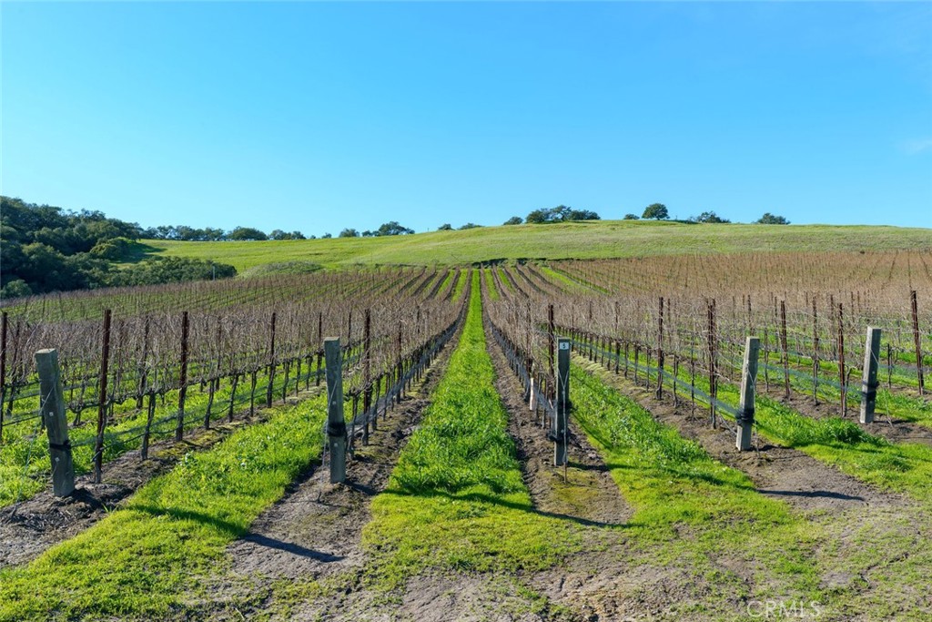 San Luis Obispo(380) - Residential