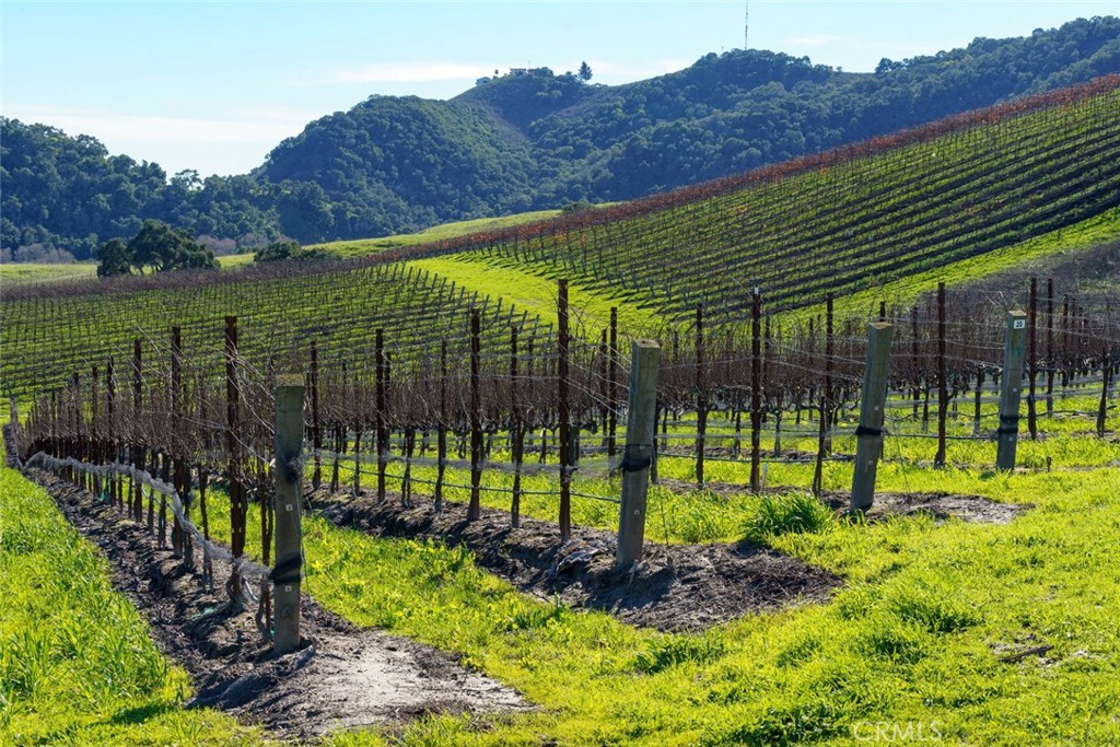 San Luis Obispo(380) - Residential