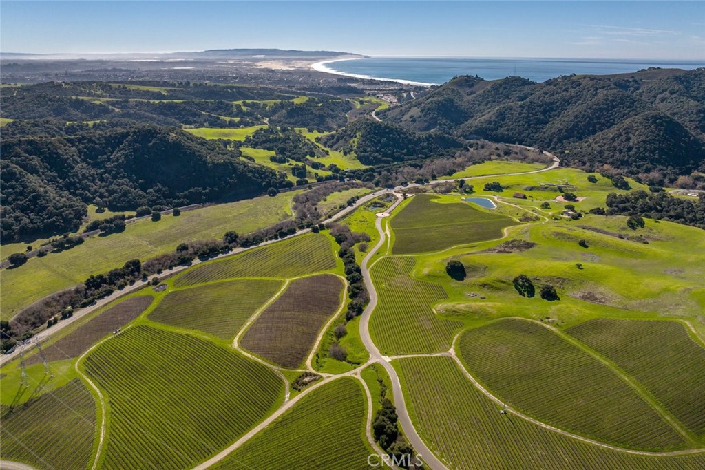 Discover the epitome of opportunity at 500 Spanish Springs Drive, a captivating coastal vineyard property located less than three miles from the Pacific Ocean in the heart of San Luis Obispo County. Sprawling across 218 +/- acres of picturesque landscape, this property is an enchanting canvas awaiting the brushstrokes of your dreams.
Nestled within the esteemed SLO Coast AVA, Spanish Springs Vineyard boasts over ninety acres of meticulously cultivated vineyards, showcasing a diverse array of varietals including Chardonnay, Syrah, Pinot Noir, and more. This property produces premium grapes sought after by discerning winemakers, leading to the creation of award-winning wines that consistently receive high ratings. Immerse yourself in the art of winemaking while relishing the temperate Central Coast climate that defines the region's viticultural excellence.
Just minutes from the shores of Pismo Beach and a short drive to downtown San Luis Obispo, this location seamlessly blends serenity with accessibility. Explore the vibrant local culture that makes both cities cherished destinations. Other highlights include proximity to the ACI Jet Center and San Luis Obispo Regional Airport.
The potential* of 500 Spanish Springs Drive is as limitless as your imagination. Expand the vineyards, craft a tasting room, or build the estate you've always envisioned. The canvas extends beyond viticulture – explore opportunities for retail, hospitality, or a winery.
Situated adjacent to ANZA Vineyard Estates, this property shares borders with multi-million-dollar homes set within this prestigious community, reflecting the area's growing appeal and investment potential.
Seize the opportunity to claim this extraordinary property and write the next chapter of its story.
*Note: All development opportunities are subject to required entitlements and approvals by the County of San Luis Obispo. Seller and brokers make no guarantee of what can be constructed on the property.*
