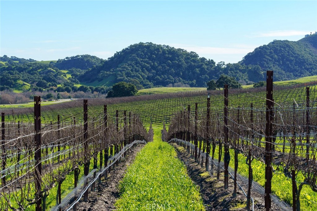 San Luis Obispo(380) - Residential