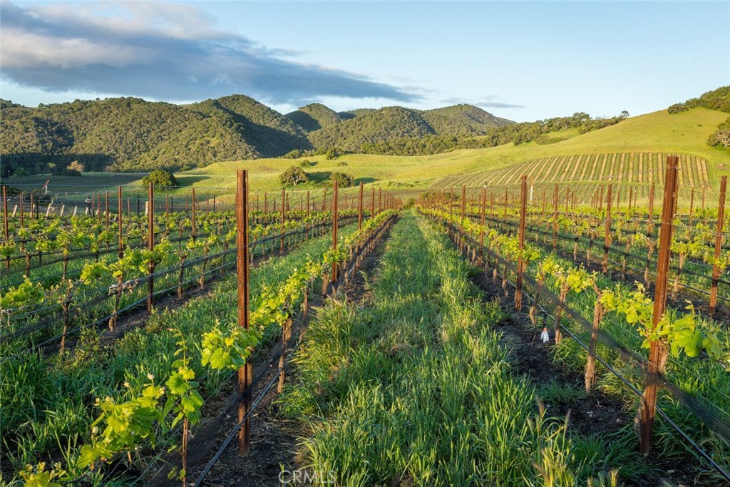 San Luis Obispo(380) - Residential