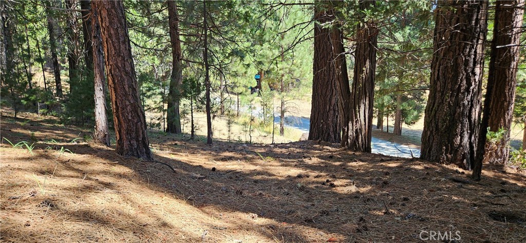Rare opportunity to own two beautiful lots (lots 107 & 108) that total 1.46 Acres combined. Prime location with beautiful views of the meadows. Nestled in the High Sierra Meadows Arnold Meadows Gated Subdivison. Both lots are usable and woud be great for a future cabin build or RV camping. Lot 107 has a septic system. HOA includes community water, community pond for fishing with the little ones and paved roads. The gated community is surrounded by national forest land and short drive to fishing, hunting and hiking.