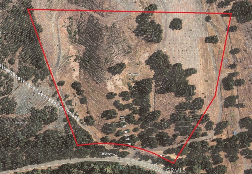 5 Avenida Del Oro
