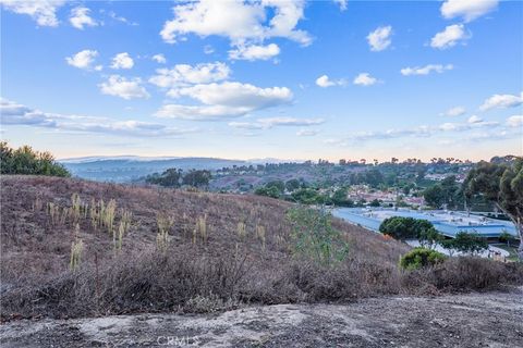 A home in Laguna Niguel