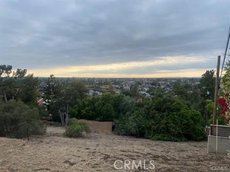 12308 Circula Panorama