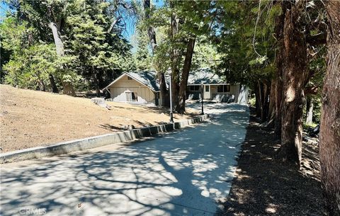 A home in Cedar Glen