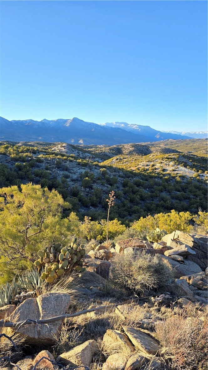 Pinyon Crest (32607) - Land
