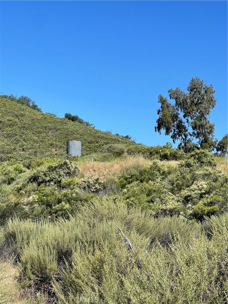 12 Black Canyon Road