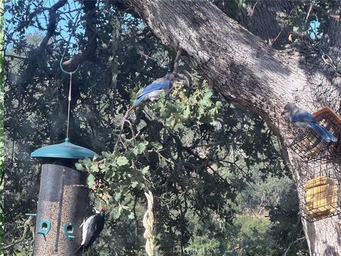 A home in Atascadero