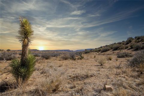 Photo of 50600 Burns Canyon Road, Pioneertown, CA 92268 (MLS # JT23024070)