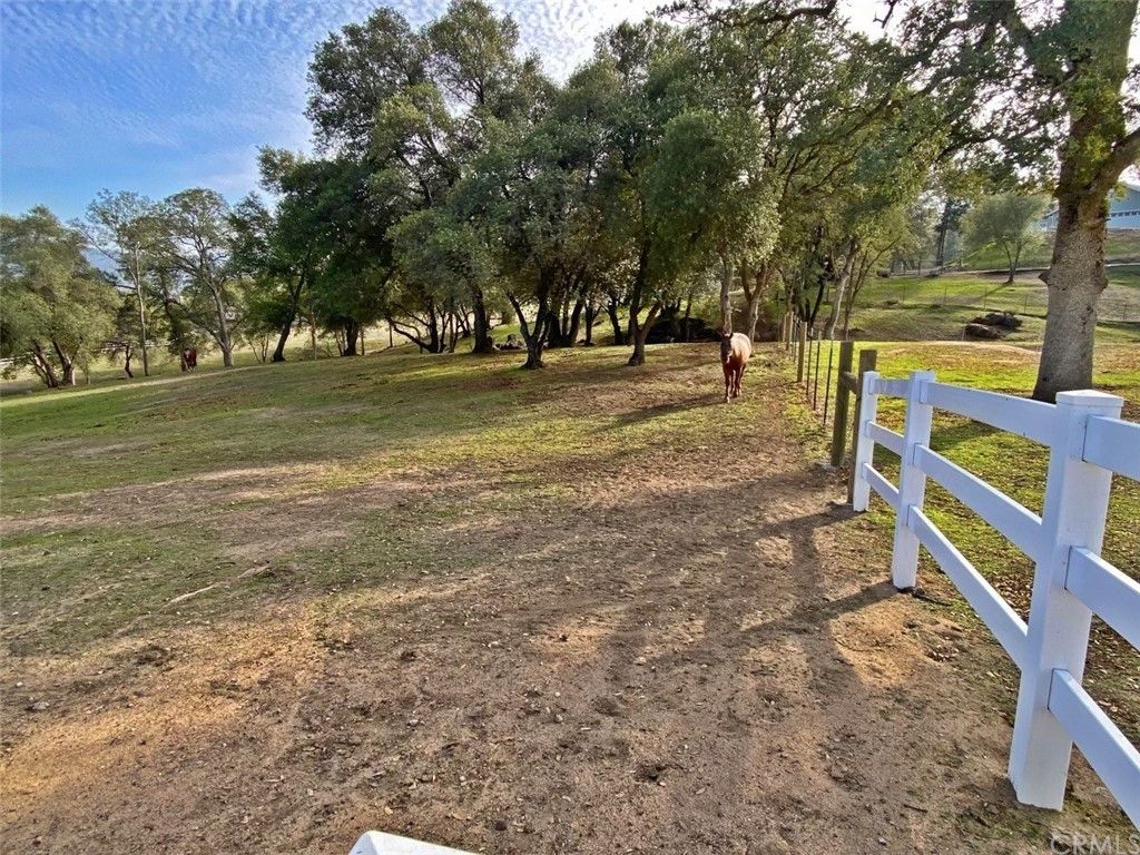 listing image 130725261874725172763