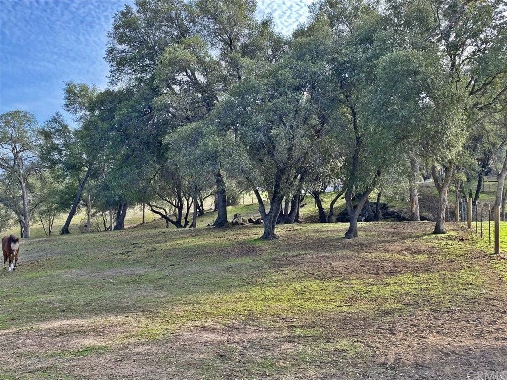 listing image 130725972554369297721