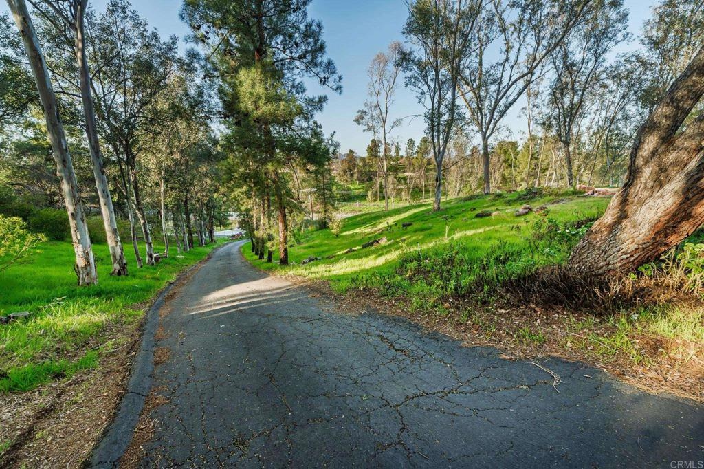35745 Calle Nopal