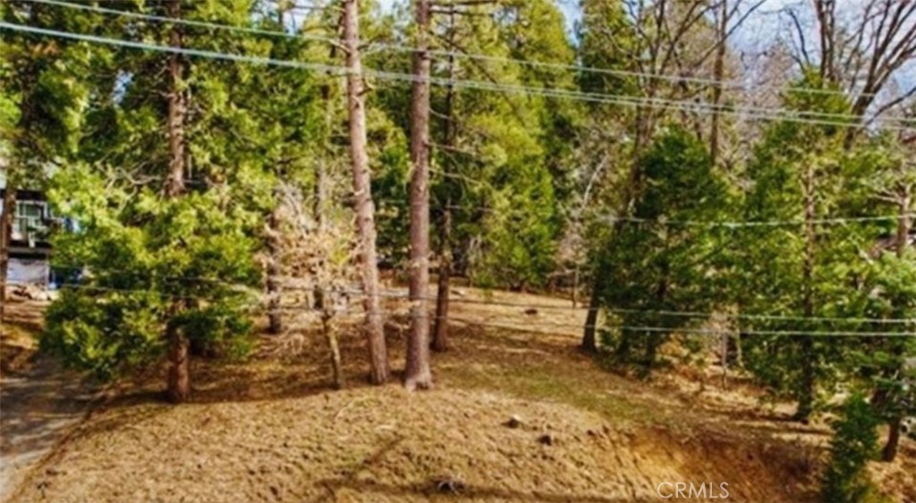 This exceptional lot is nestled in a serene, upscale Lake Arrowhead community. It provides an ideal foundation for building with easy access to water, sewer, and electricity. The sale includes a detailed topography survey and soil test. As part of Arrowhead Woods, the lot comes with lake rights. Surrounded by impressive estate homes, it is also just a short distance from top-tier restaurants.