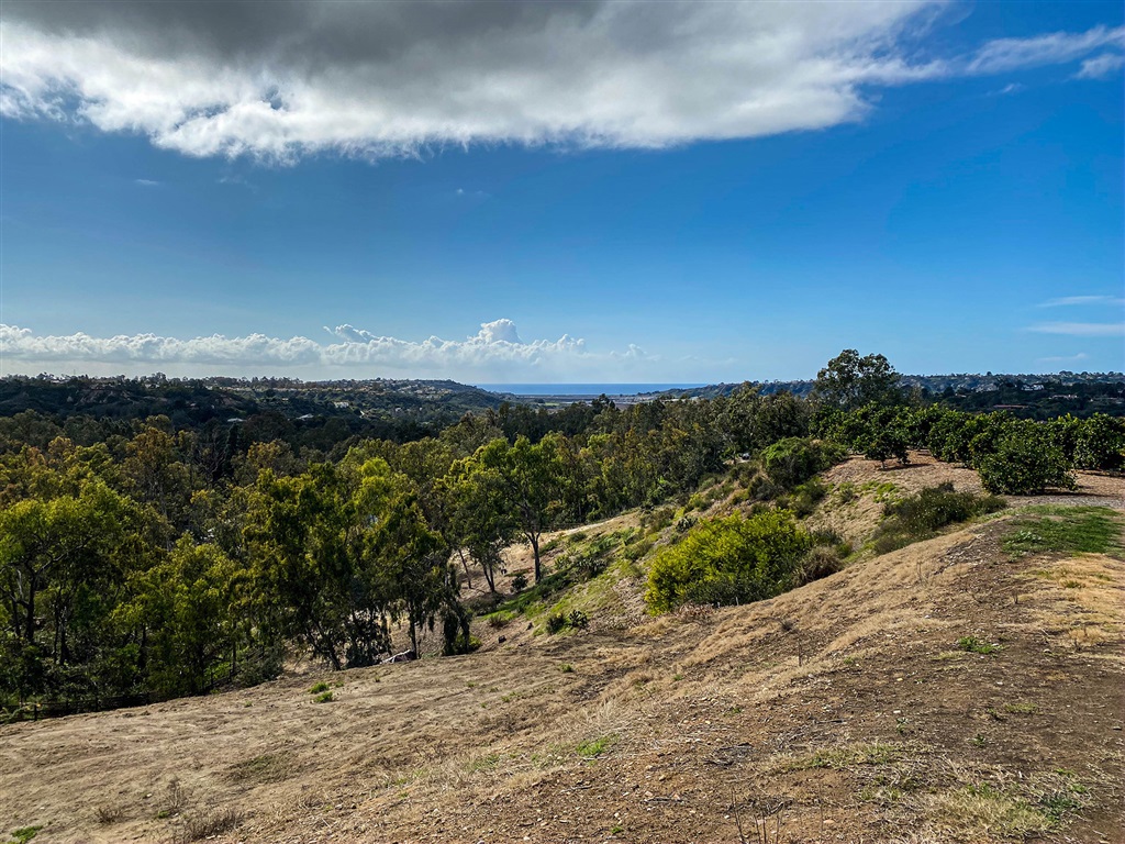 Rancho Santa Fe - Residential