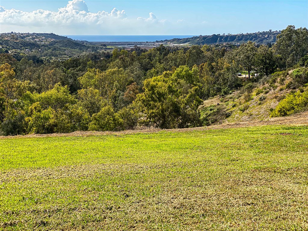 Rancho Santa Fe - Residential