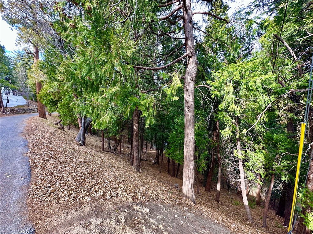 Lake Rights lot on county plowed road giving the opportunity for a level entry build. This lot is close to the Lake Arrowhead village and in a desirable area. Build your dream home on this downslope lot offering a level entry build and on a county maintained road. Lot has survey and Topo on file and even has architectural plans if desired. Don't pass up this lake rights lot today, wether your plan is to build or just have lake rights.
