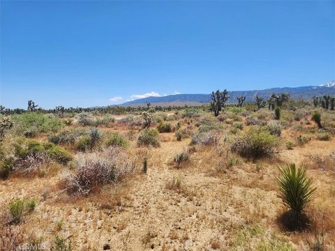 Photo of 0 Ave X6 212 Street, Llano, CA 93544 (MLS # IV24104605)